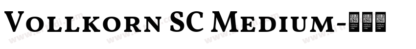 Vollkorn SC Medium字体转换 Vollkorn SC Medium字体转换